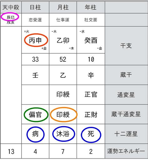 時 柱|【四柱推命】命式表自動計算（命式の見方）【無料占。